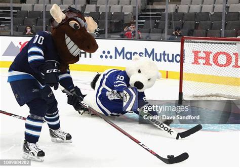 Mick E. Moose of the Winnipeg Jets and Carlton the Bear of the... News Photo - Getty Images