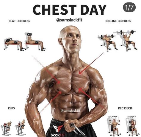 Pin by AAP on Pecs | Best chest workout, Workout programs, Shoulder workout