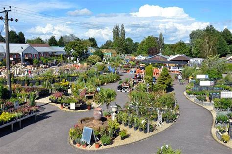 Whitehall Lacock garden centre wins amendment to planning restrictions | HortWeek