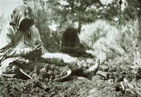 Pinyon-Juniper Woodlands - Anthropogenic Use and Post-settlement ...