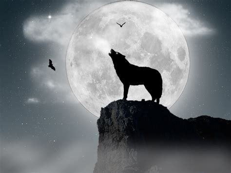 Wolf Under Full Moon #6935310