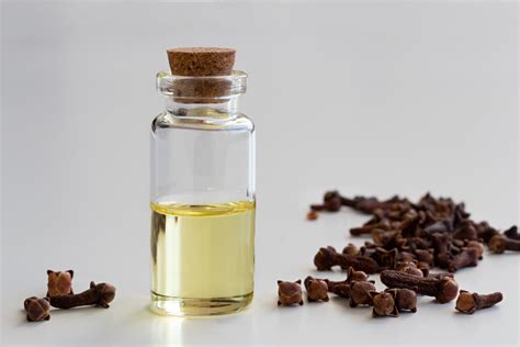 Clove Oil for Toothache Pain | Oral Care