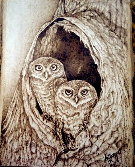 owls / pyrography / burned into wood Pencil Drawings Of Animals, Animal Sketches, Bird Drawings ...