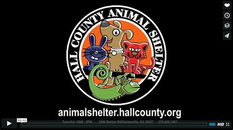 Animal Services | Hall County, GA - Official Website