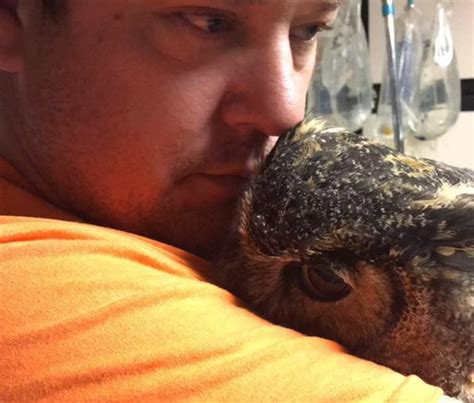 You’ll Love a Rescue Owl’s Adorable Response to Seeing Her Rescuer Again – Obsev