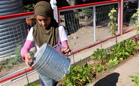 School garden grows sustainable students - Cronkite News