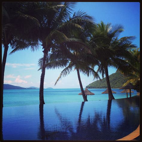 Hamilton Beach Club, Hamilton Island, Australia | Hamilton island, Beach, Hamilton beach