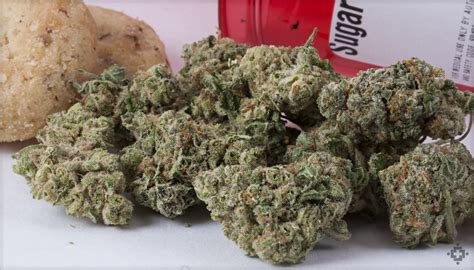 Sugar Cookie Marijuana Strain (Review)