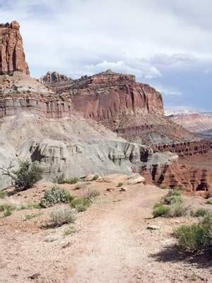 Fruita, Utah | Orchards, History & More | Visit Utah