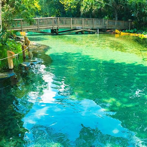 Florida Stop: Wekiva Springs - Indefinite Travel in 2024 | Wekiva springs, Florida travel ...