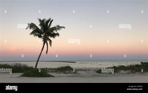 ocean view, bahamas Stock Photo - Alamy