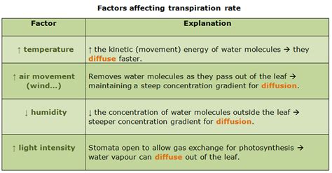 Transpiration in plants and factors affecting tranpiration rate - Biology Notes for IGCSE 2014