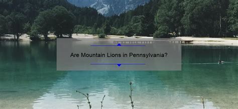 Are Mountain Lions in Pennsylvania? - linesville.net