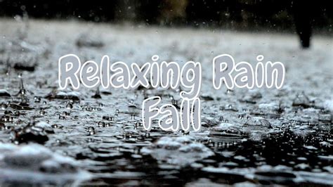 Rain Fall Relaxing Sound - YouTube