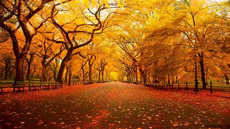 5 Places To Visit In New York City This Autumn | Ambition Earth