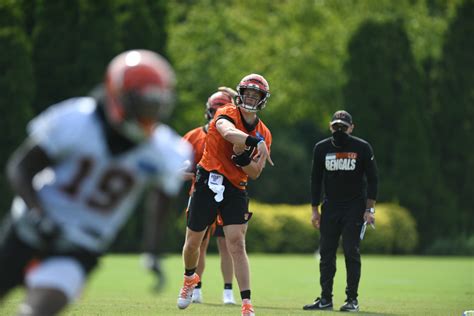 Jordan Palmer has high expectations for Cincinnati Bengals quarterback ...