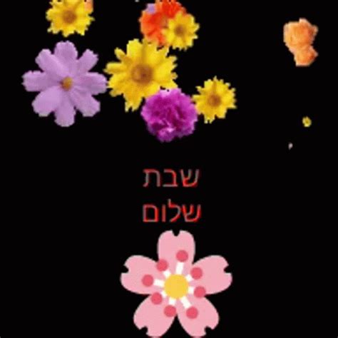 Shabat Shalom GIF - Shabat Shalom - Discover & Share GIFs