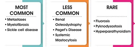 Top causes of increased bone density - Chellaram Hospital