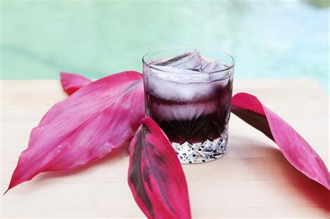 Purple Passion Punch Cocktail - Aspiring Winos