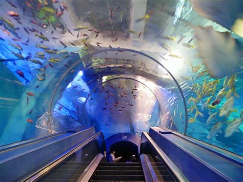 Let's Travel: YOKOHAMA HAKKEIJIMA SEA PARADISE - JAPAN