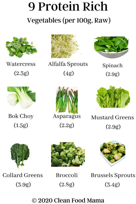 Vegetables high in protein than meat - Food Keg