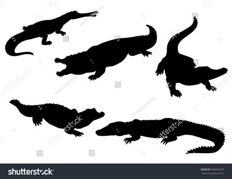 Gator Silhouette Vector Images: Browse 1,441 Stock Photos & Vectors ...