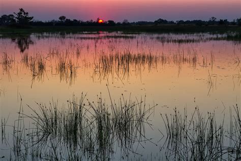 Throwback Thursday - Okavango Delta Sunset — Geoff Billing Photography | Sunset, Okavango delta ...