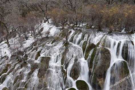 3 Days Jiuzhaigou Winter Tour