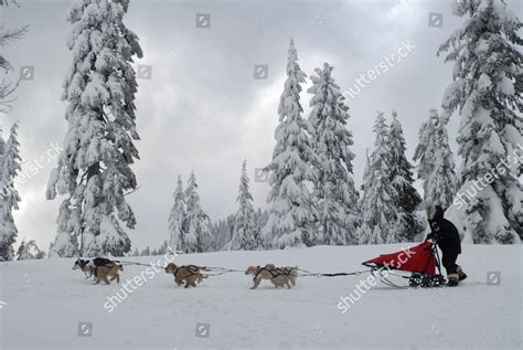 Snow Buddies 2008 Editorial Stock Photo - Stock Image | Shutterstock