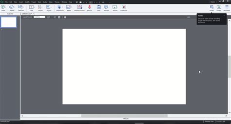 Asset Panel in Adobe Captivate.