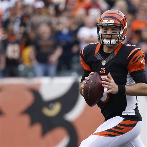 Andy Dalton's Injury Doesn't Sink Cincinnati Bengals' Playoff ...