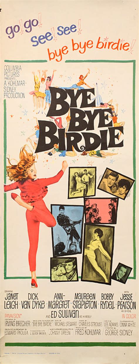 Bye Bye Birdie 1963 U.S. Insert Poster - Posteritati Movie Poster Gallery