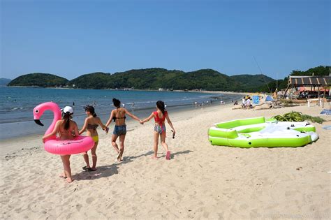 10 Must-See Attractions in Fukuoka - Homestay