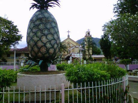 Pin on Pineapple capital of the south