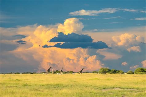 Destinations | Botswana Okavango Delta Safari