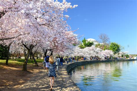 Tidal Basin in Washington DC - Relax in a Man-made Reservoir – Go Guides