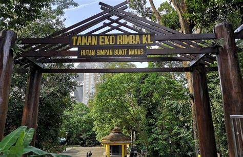 KL Sentral to Bukit Nanas / KL Forest Eco Park (by LRT or Monorail?)