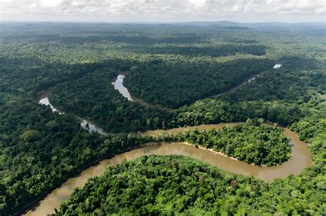 Rainforest villages in French Guiana cut off by loss of airline