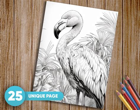 25 Birds Coloring Pages for Adults Tropical Birds Coloring - Etsy