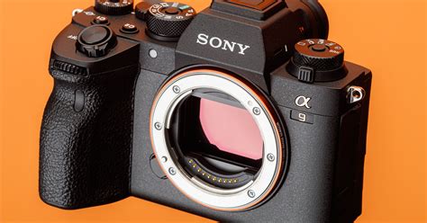 Sony Alpha 9 II beauty shots : Digital Photography Review