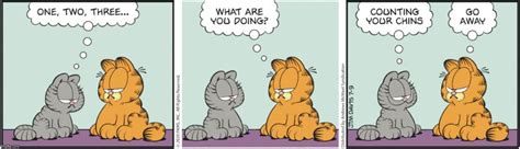 10 Funniest Garfield Comics Starring Nermal – United States KNews.MEDIA