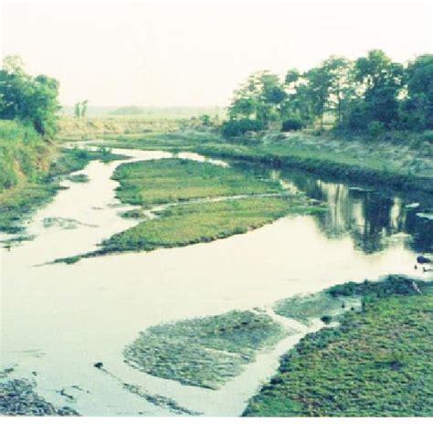 (PDF) The Burhi Gandak: Mo﻿st Sinuous River