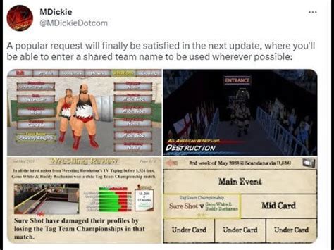 TAG TEAM NAMES COMING TO WRESTLING EMPIRE : r/mdickie