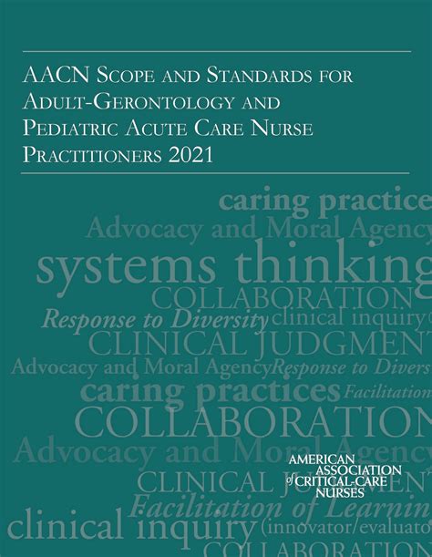 Figure From Conceptual Framework Of Acute Care Nurse, 56% OFF