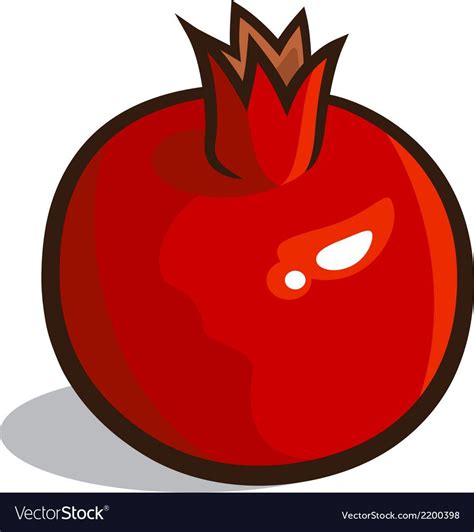 Pomegranate Royalty Free Vector Image - VectorStock | Pomegranate vector, Kids art galleries ...