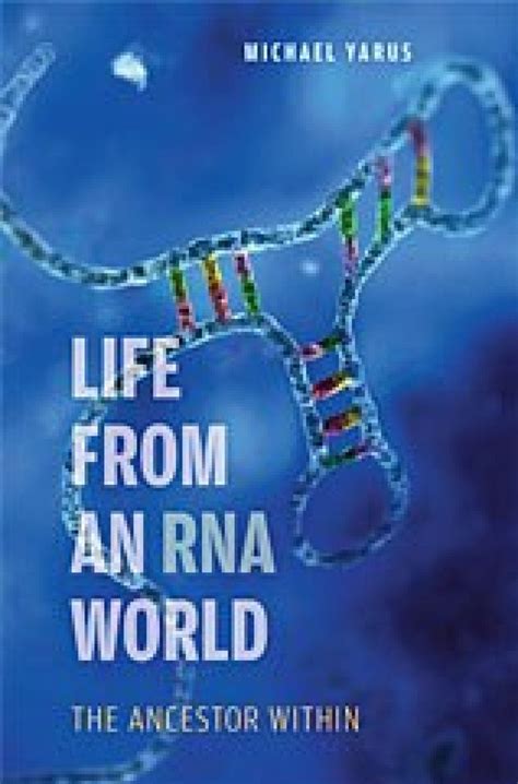 Life from an RNA World: The Ancestor Within | NHBS Academic & Professional Books