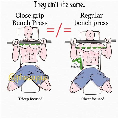 Seeking out more about bench press anatomy? Then read on #barbellbenchpress | Chest workouts ...