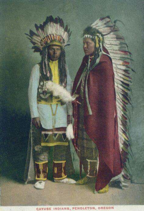 Cayuse Indian tribe 1905 Native American Dress, Native American Regalia, Native American Images ...