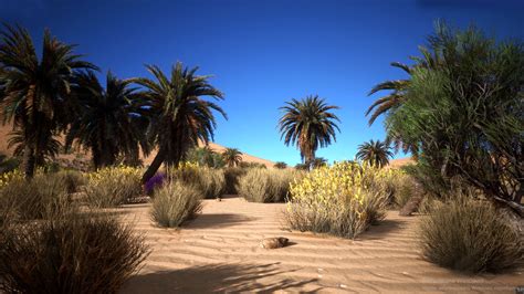 Desert Vegetation