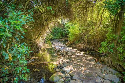 Exploring Israel's Stunning National Parks and Nature Reserves ...